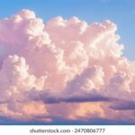 061期开奖结果正式公布,大奖花落谁家引关注 20aeow