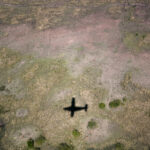 044期历史开奖号码全记录与详细数据分析 2a95co67t5