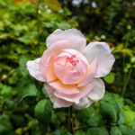 064期双色球开奖结果公布,大奖花落谁家? 7iyantxw3