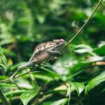 228最快开奖结果实时更新查询 dmyj098x