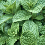 22号快三开奖结果最新公布,速来查看中奖详情 m6hwe9vpbv