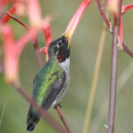 046期开奖结果震撼揭晓,大奖花落谁家引关注 u450a11m