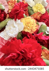 048期大乐透开奖结果公布:最新中奖号码与奖金分配详情 048期大乐透开奖结果公布:最新中奖号码与奖金分配详情