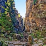 228118期最新开奖记录完整版查询 zry66jz4